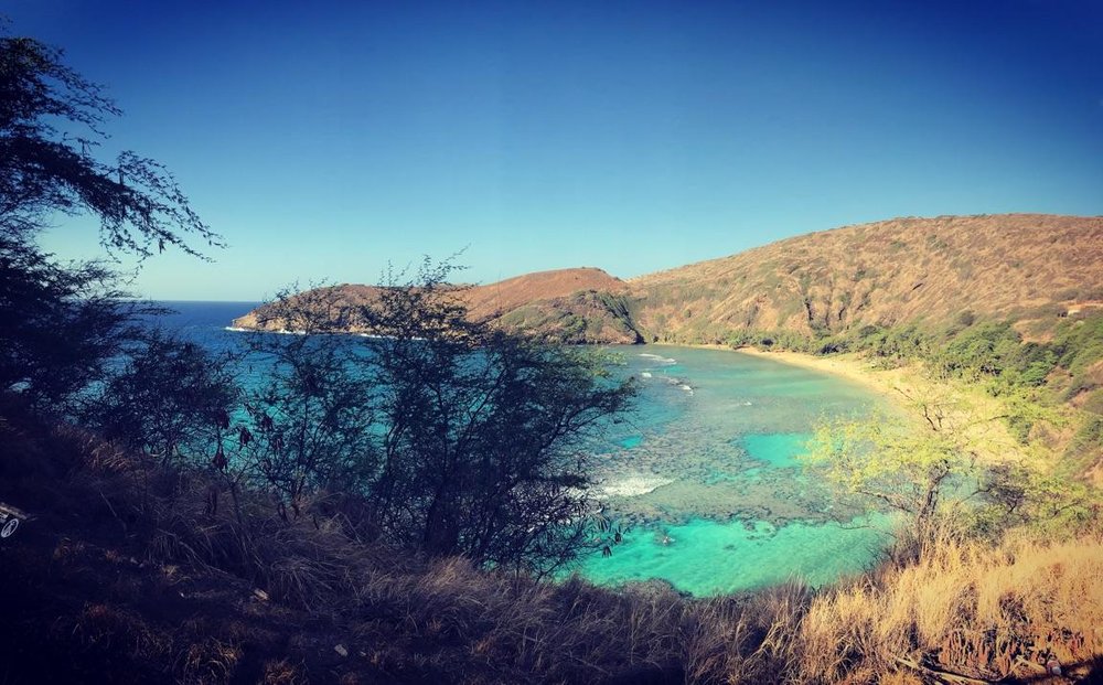 reviewer-profile-image