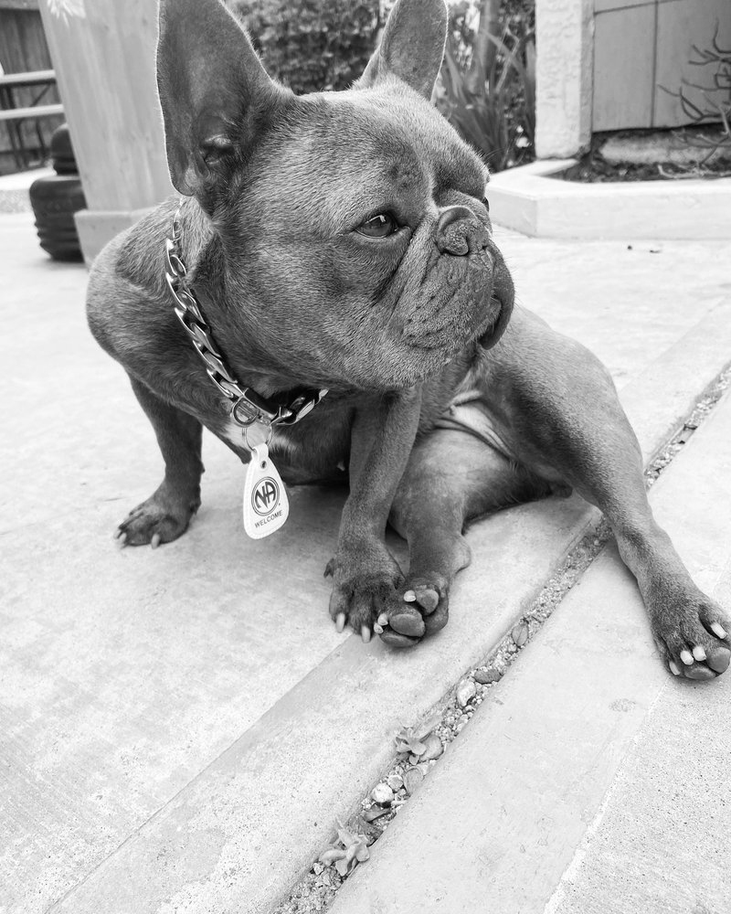 reviewer-profile-image