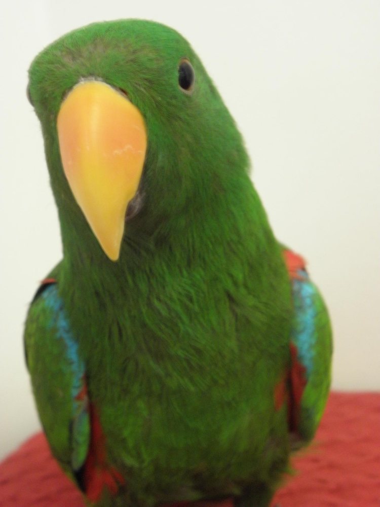 reviewer-profile-image