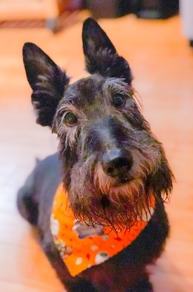 reviewer-profile-image