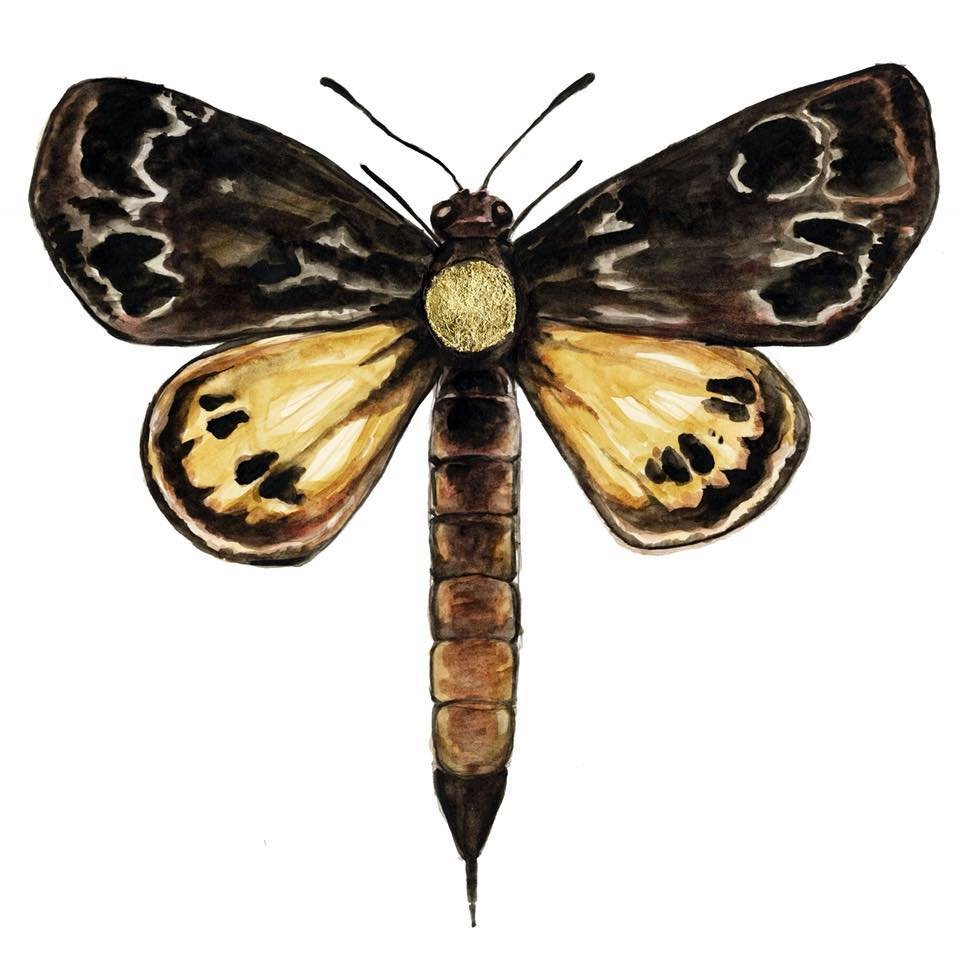 reviewer-profile-image