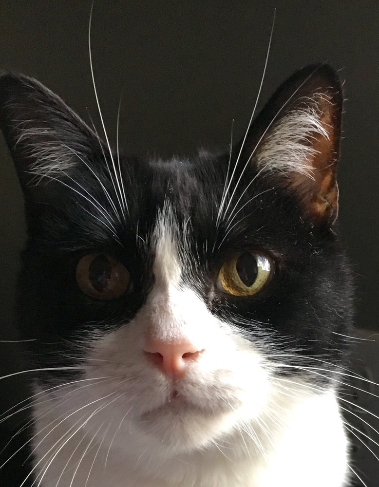 reviewer-profile-image