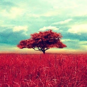 reviewer-profile-image