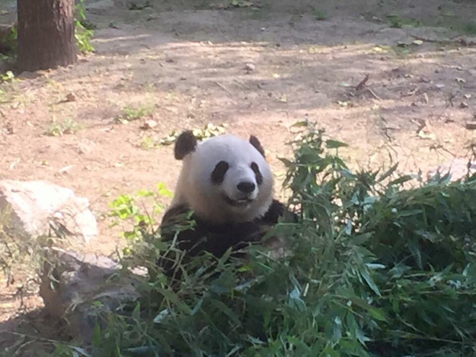 reviewer-profile-image