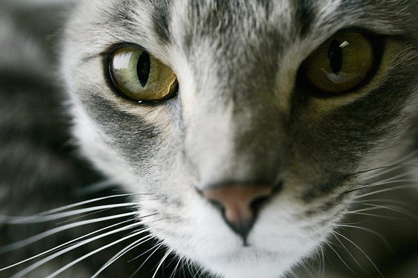 reviewer-profile-image