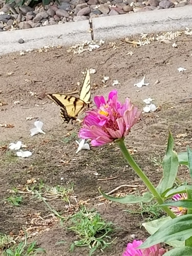 reviewer-profile-image