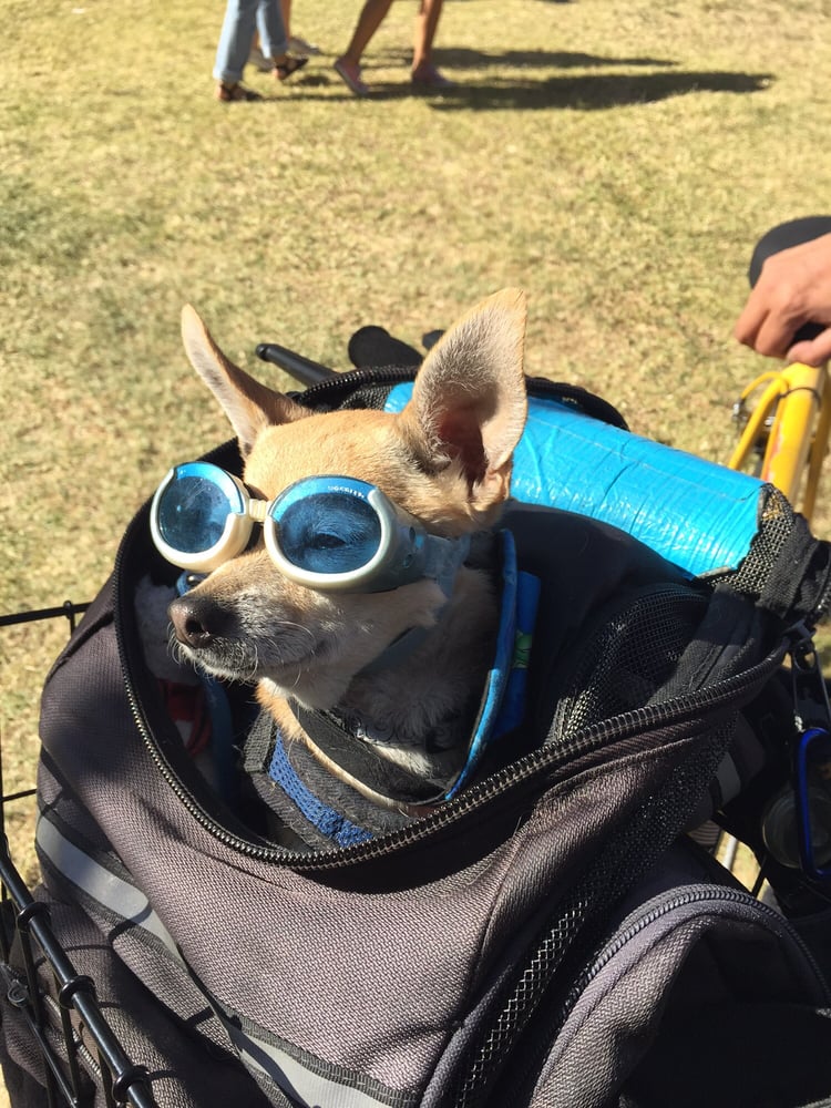 reviewer-profile-image