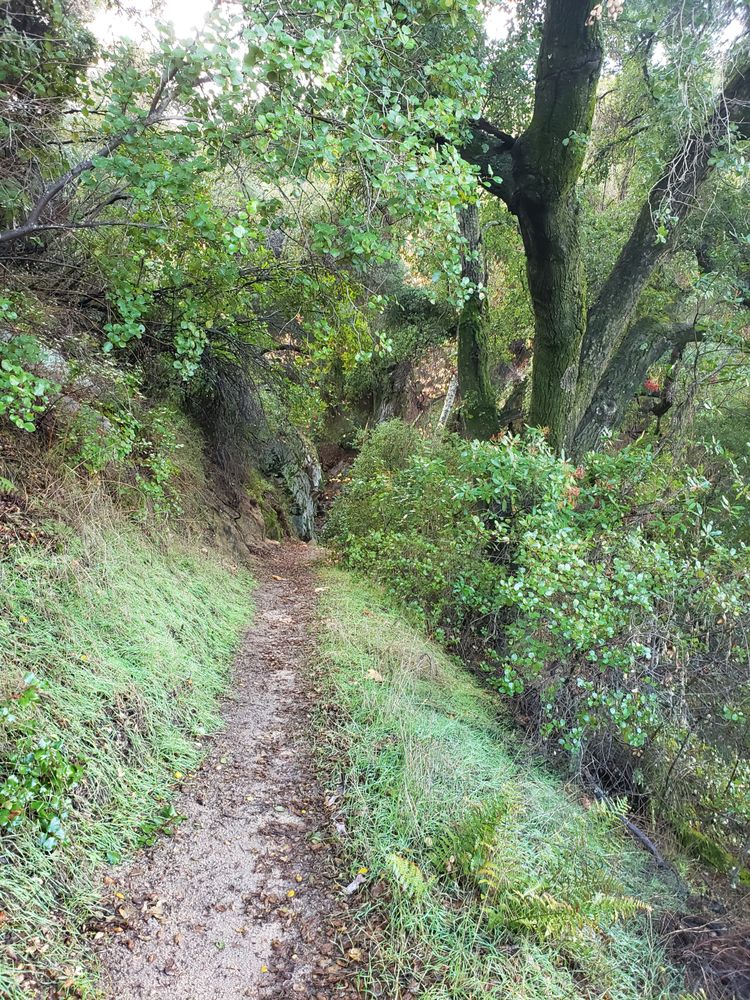 reviewer-profile-image