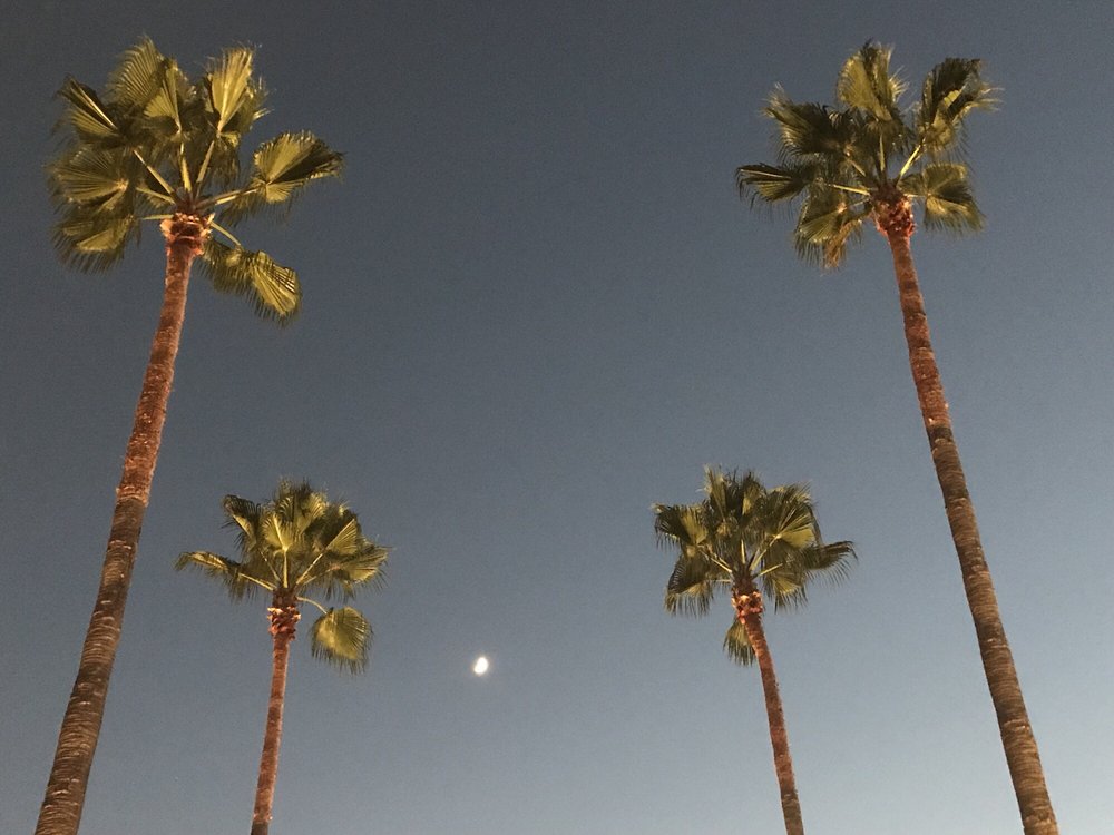 reviewer-profile-image