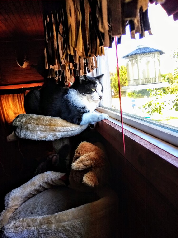 reviewer-profile-image