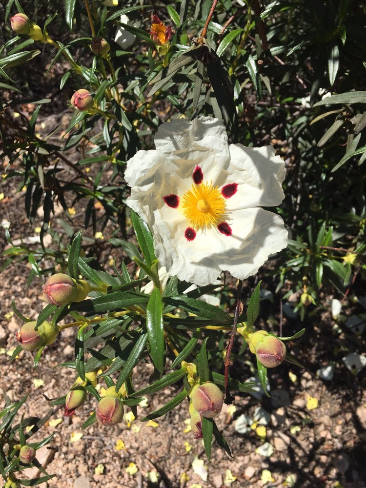 reviewer-profile-image