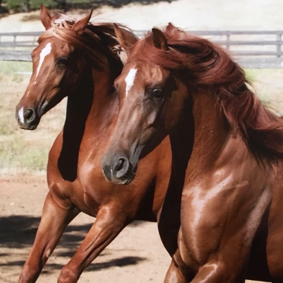 reviewer-profile-image