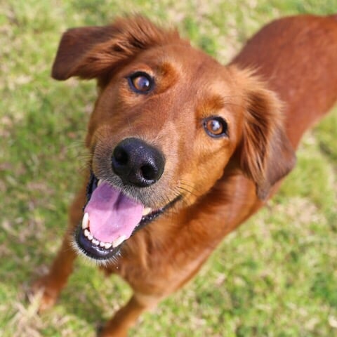 reviewer-profile-image