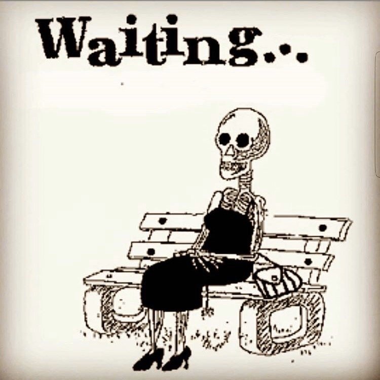 reviewer-profile-image