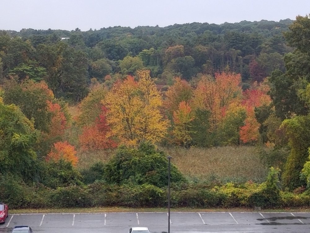 reviewer-profile-image